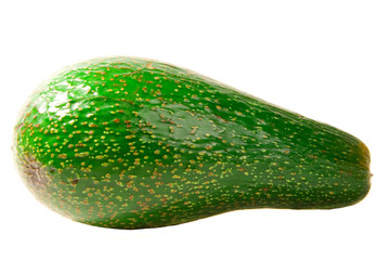 Green Avocado