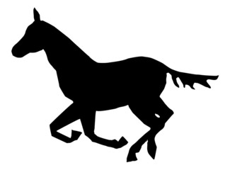 cheval au galop