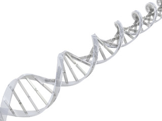 dna