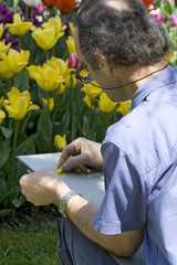 An artist in the park painting some tulips