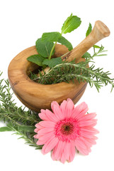 Healthy aromatic herbs in a spa 