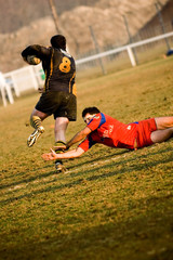 rugby sport équipe 4