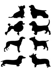 raças de cães