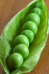 Peas in a Pod 1