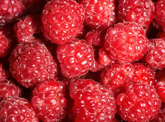 Background of ripe colorful raspberry