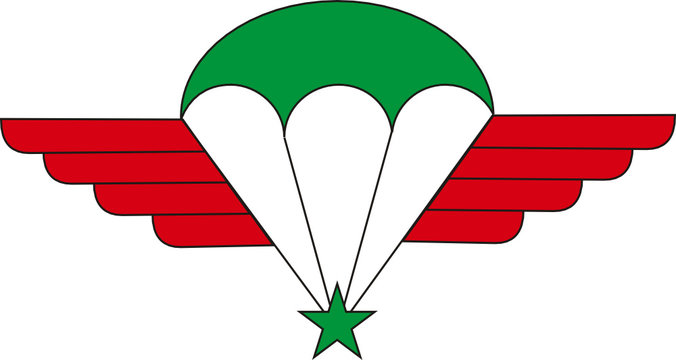 Logo parachutiste