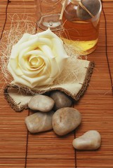 SPA accessories for wellness