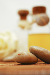 SPA accessories for wellness