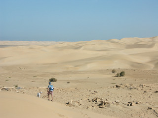 balade dans le sahara