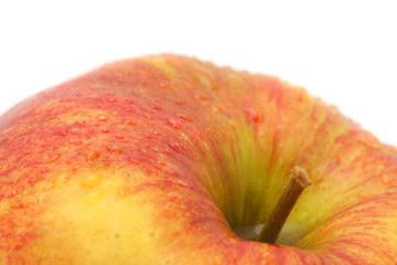 Apple. macro