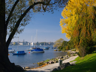 View of Zurich over the Lake