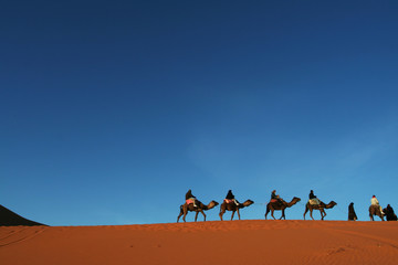 Fototapeta na wymiar Caravan w Saharze