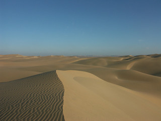 Fototapeta na wymiar dunes au coucher du soleil