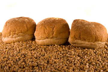 Three Bread Rolls on Wheat with Copy Space