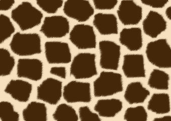 Texture - a fluffy skin of a giraffe