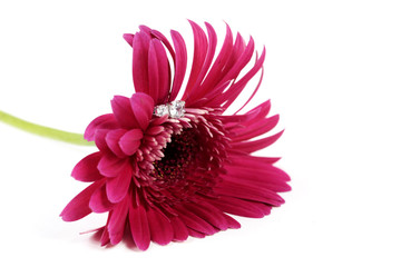 Pink Flower with Ring