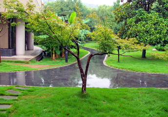 Allées dans un jardin chinois sous la pluie.