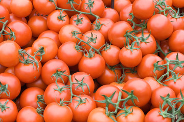 Fresh organic tomatoes for sale at a market for farm products