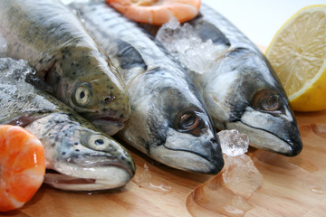 Fischplatte