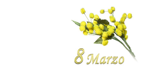 mimosa 8 marzo festa della donna
