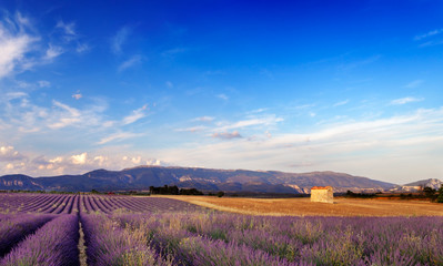 Landscape in Provence, France - 6248656