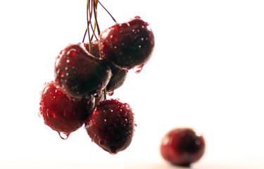 Cherry