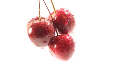 Cherry