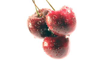 Cherry