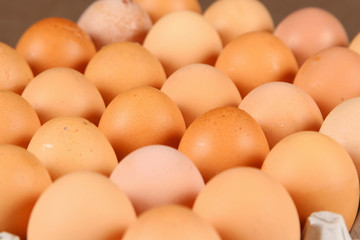 24 eggs in tray over brown background