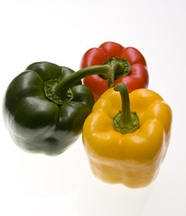 capsicum