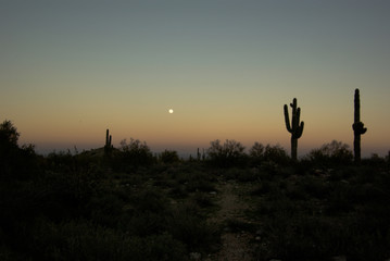 Sunset in the desert