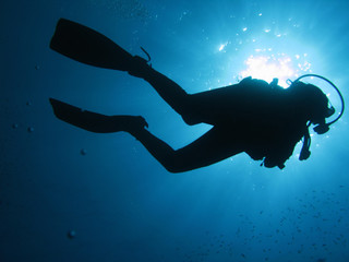 Diver 113