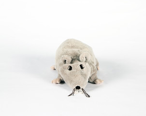 Mouse