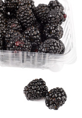 Blackberry fruit detail isolated on white background