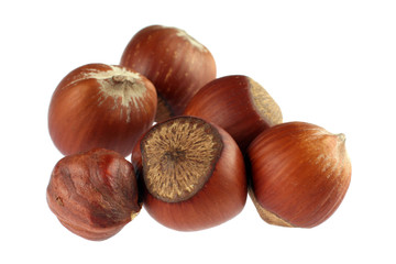 Hazel nut group isolated on white background