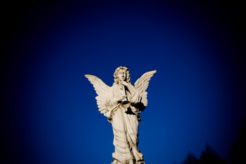 angel