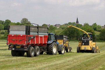 ensilage