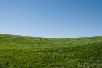 Fototapeta na wymiar Green grass hills and blue sky