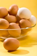 macro picture of brown and white eegs