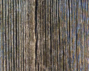 vertikal groove in tree fence