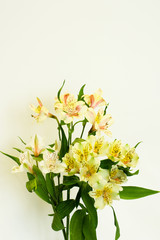 bouquet gentile lily on light background