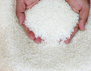 Asian White Rice  - Powered by Adobe