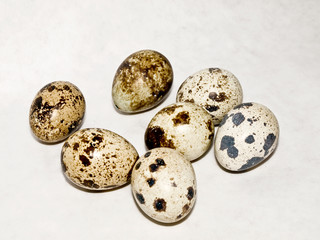 Quail egg on a white background
