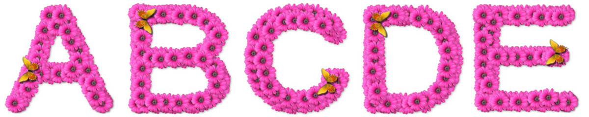 alphabetical letter in flower with butterfly