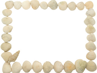 Photo a framework from sea shell 