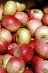 Äpfel