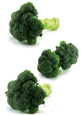 Broccoli - isolated
