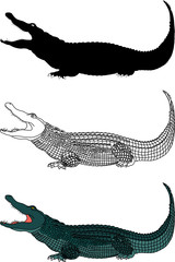 crocodile vector file