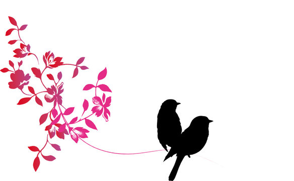 couple d'oiseaux-amour et fid&eacute;lit&eacute;