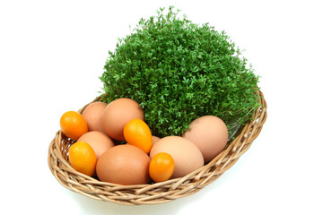 Eggs, kumquat fruit, eggs and cress in a basket. Easter! Spring!